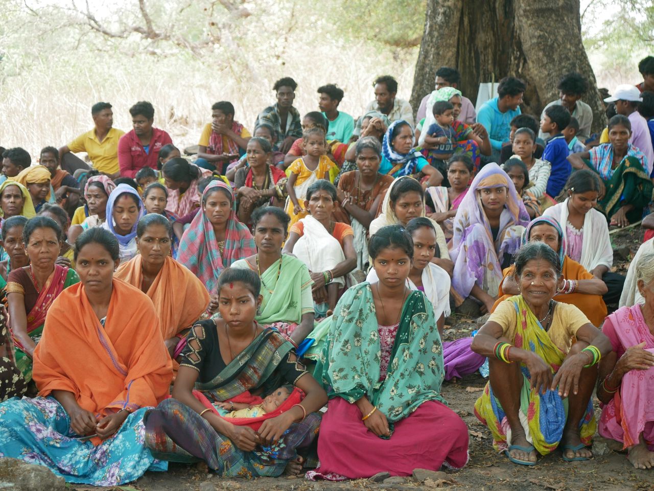 A large group of people sitting outdoors under a tree, showcasing diversity and unity.